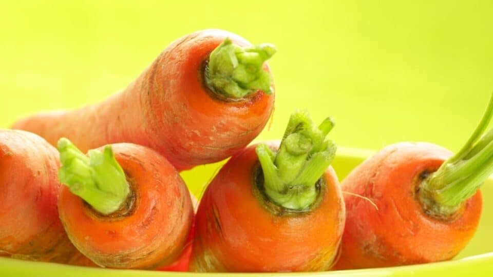 Can You Eat Too Many Carrots