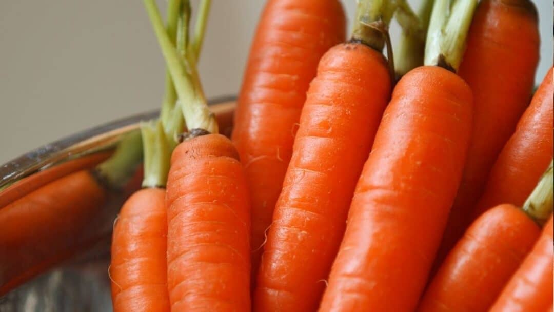 Can You Eat Raw Carrots? [Is It OK, What Happens?]