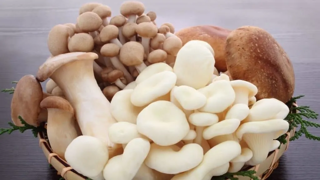 Can you eat too many mushrooms on keto