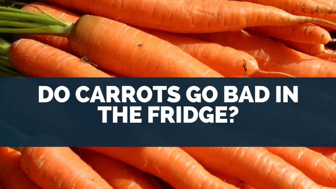 Do Carrots Go Bad in the Fridge? [HOW To Tell] Eat For Longer Food Insights