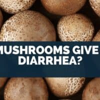Do Mushrooms Give You Diarrhea