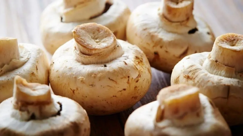 Do store-bought mushrooms need to be washed