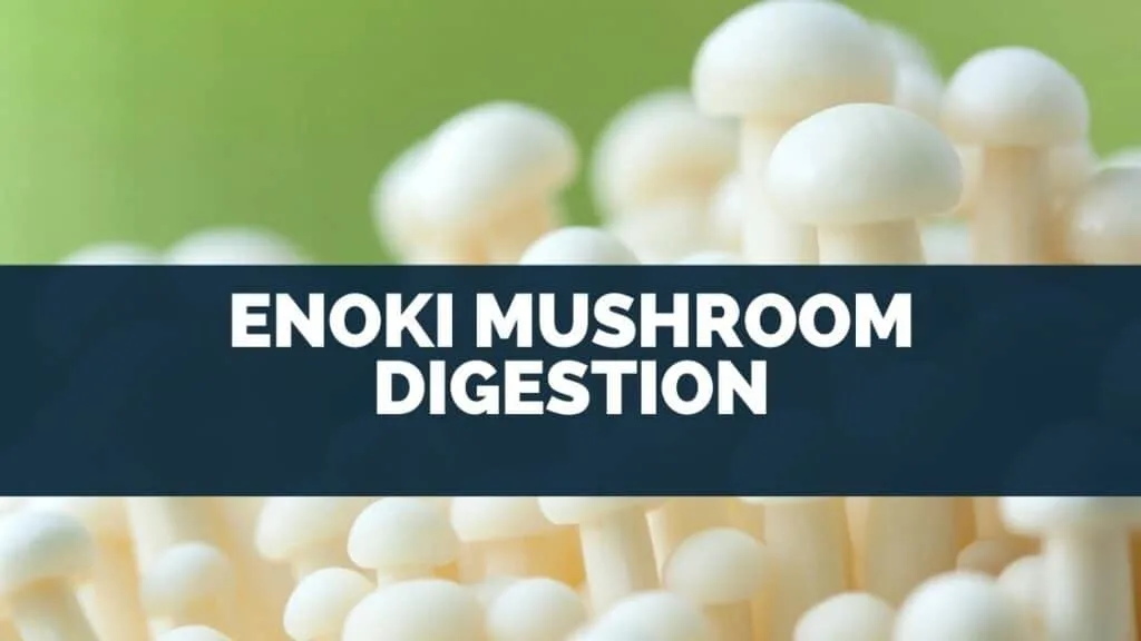 Enoki Mushroom Digestion