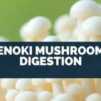 Enoki Mushroom Digestion