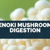 Enoki Mushroom Digestion