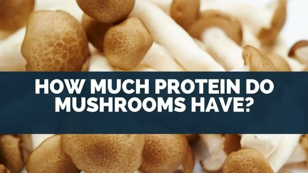 How Much Protein Do Mushrooms Have