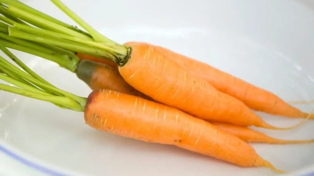 How long does it take to poop out carrots