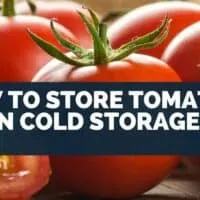 How to Store Tomatoes in Cold Storage