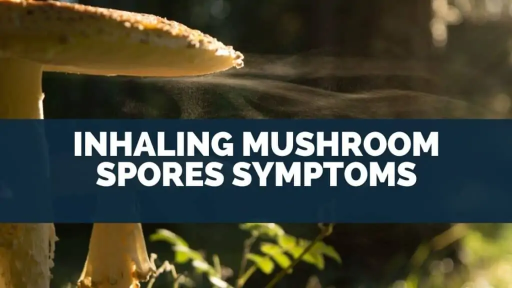 Inhaling Mushroom Spores Symptoms