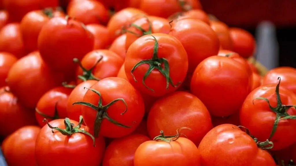 Is It Ok to Store Tomatoes in the Fridge