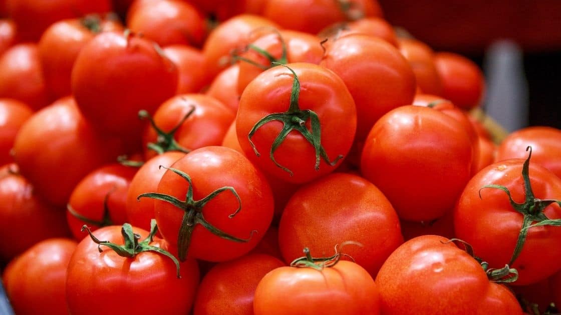 How To Store Tomatoes In Cold Storage? [Fridge Or Freezer]