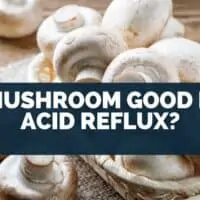 Is Mushroom Good For Acid Reflux