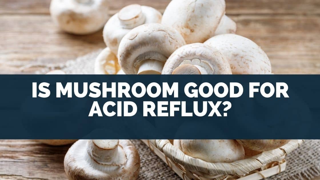 Is Mushroom Good For Acid Reflux