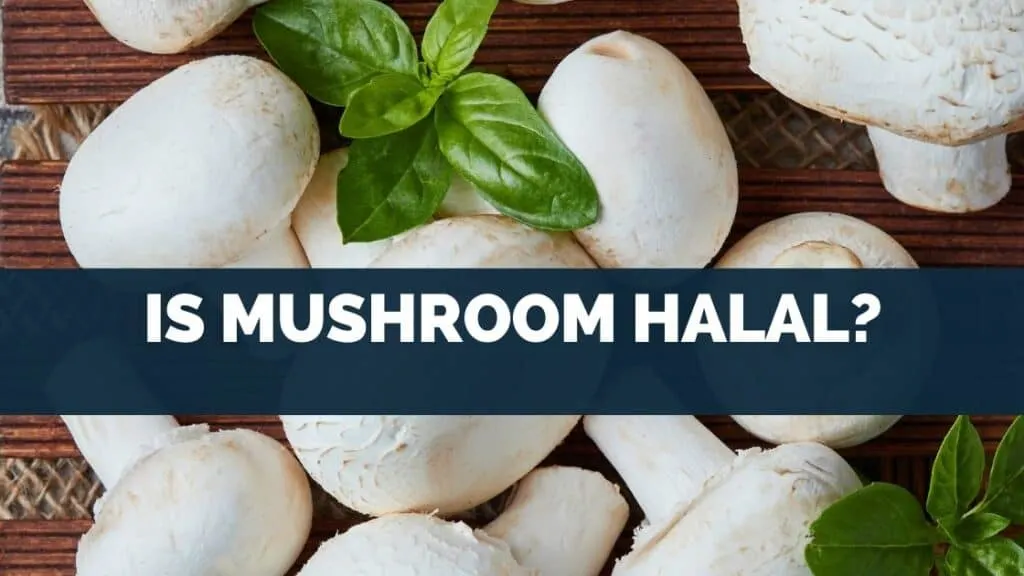 Is Mushroom Halal