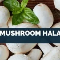 Is Mushroom Halal
