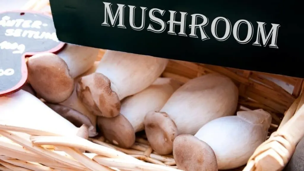 Is it safe to eat mushrooms from the grocery store