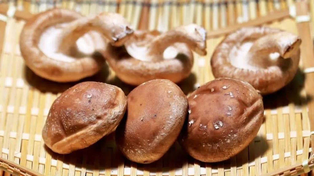 Is it safe to eat unwashed mushrooms