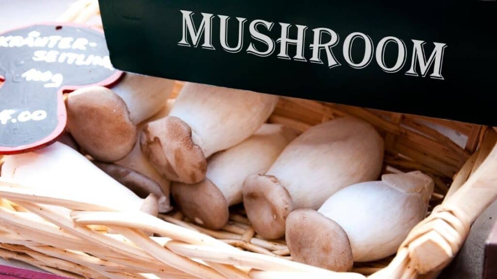 Is mushroom good for high uric acid