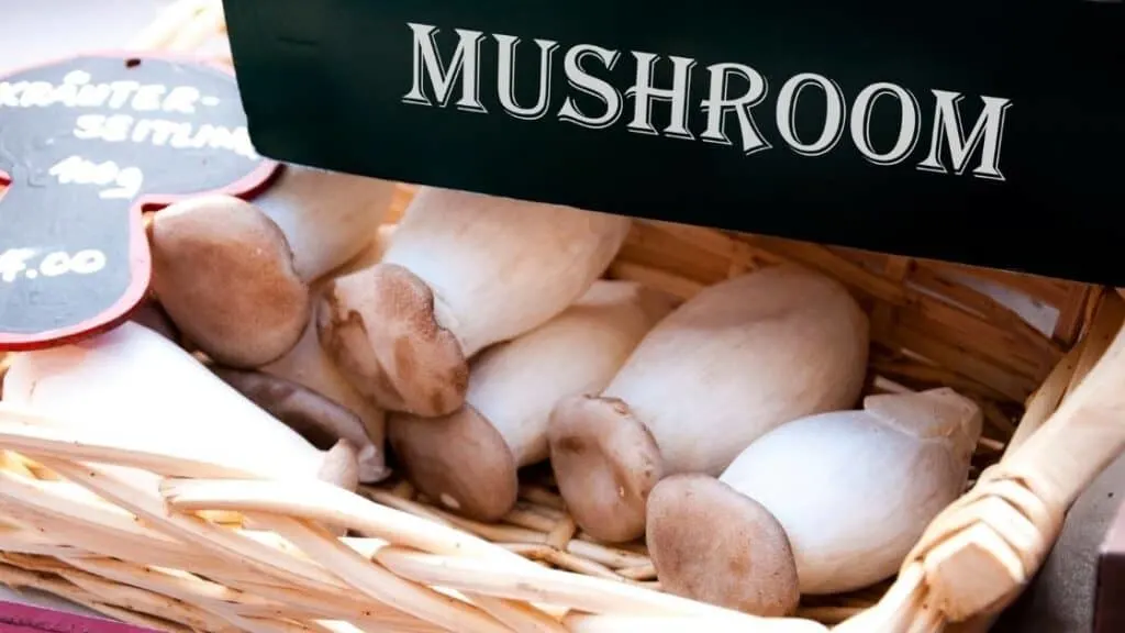 Is mushroom good for high uric acid
