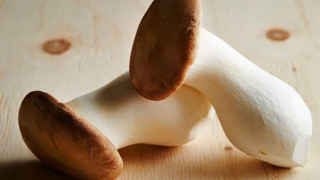 How Much Protein Do Mushrooms Have? [Top 9 Compared To Meat]