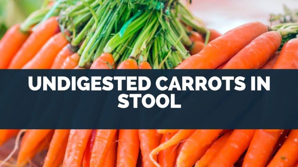 Undigested Carrots in Stool