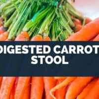 Undigested Carrots in Stool