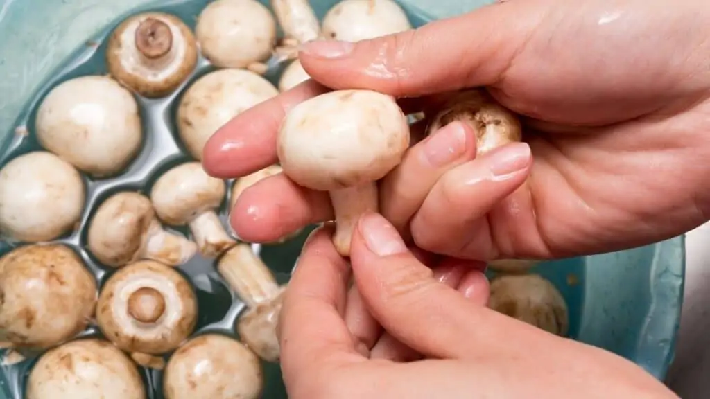 Washing Mushrooms Myth