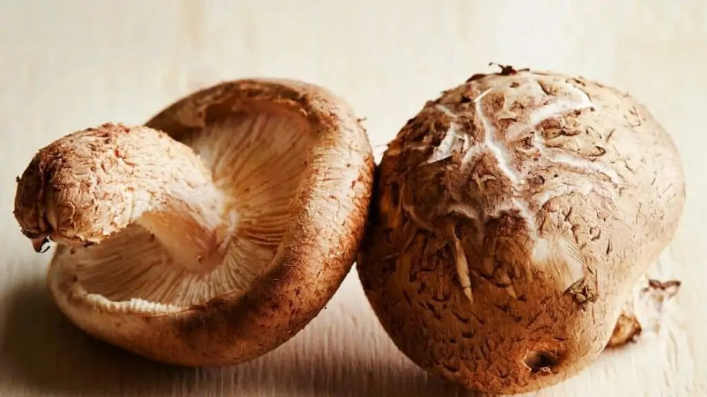 What Happens If I Don't Wash My Mushrooms