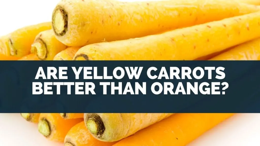 Are Yellow Carrots Better Than Orange