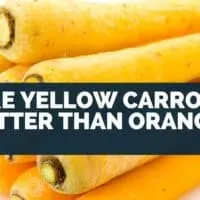 Are Yellow Carrots Better Than Orange