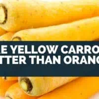 Are Yellow Carrots Better Than Orange