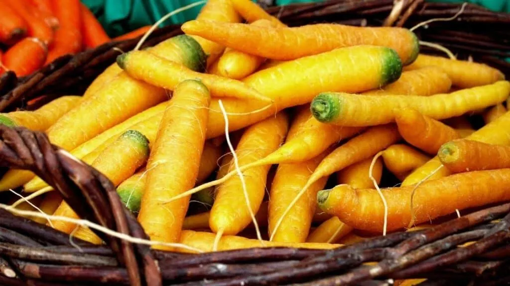 Are Yellow Carrots Less Nutritious
