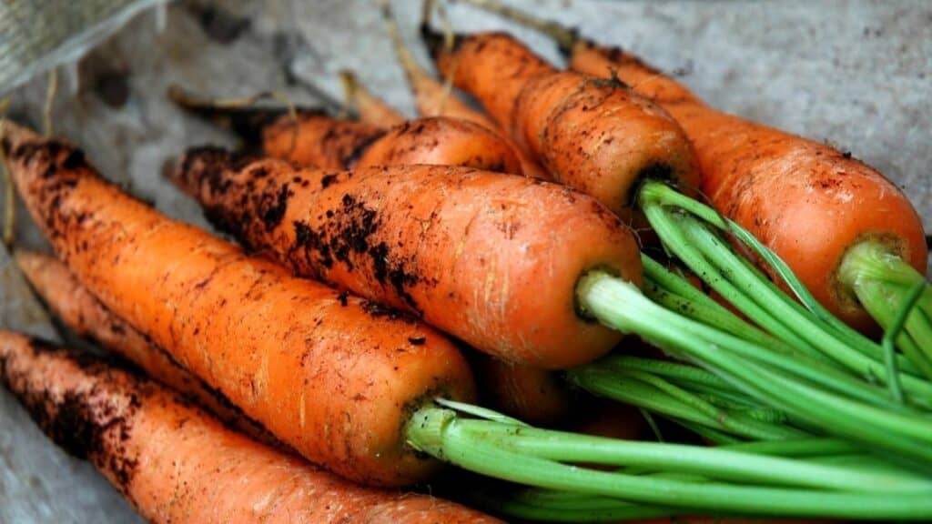 Are carrots high in purines