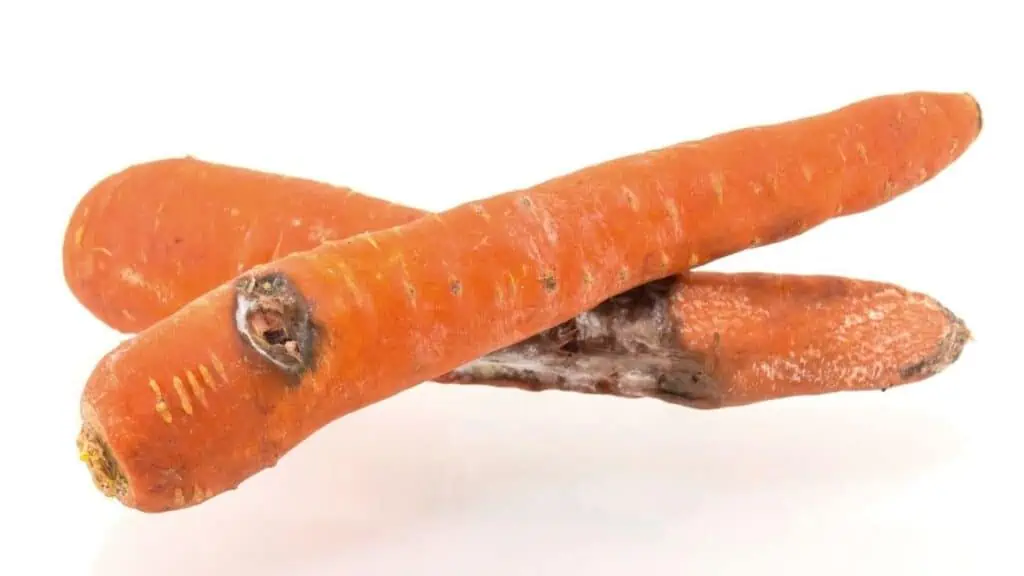 Black Rot on Carrots Safe to Eat