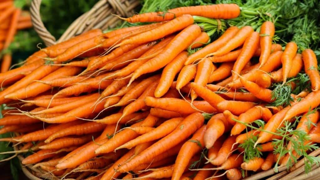 Can Carrots Make Diarrhea Worse