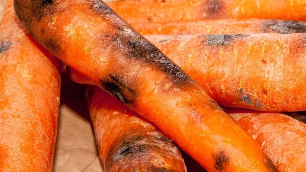 Can You Eat Carrots That Have Turned Black