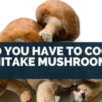 Do You Have To Cook Shiitake Mushrooms