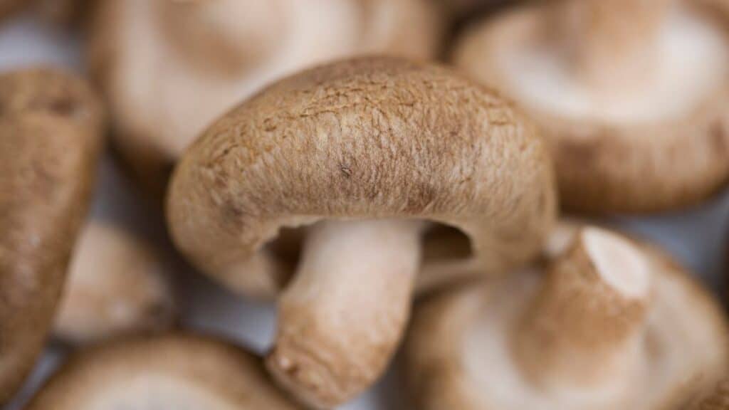Shiitake mushroom diarrhea