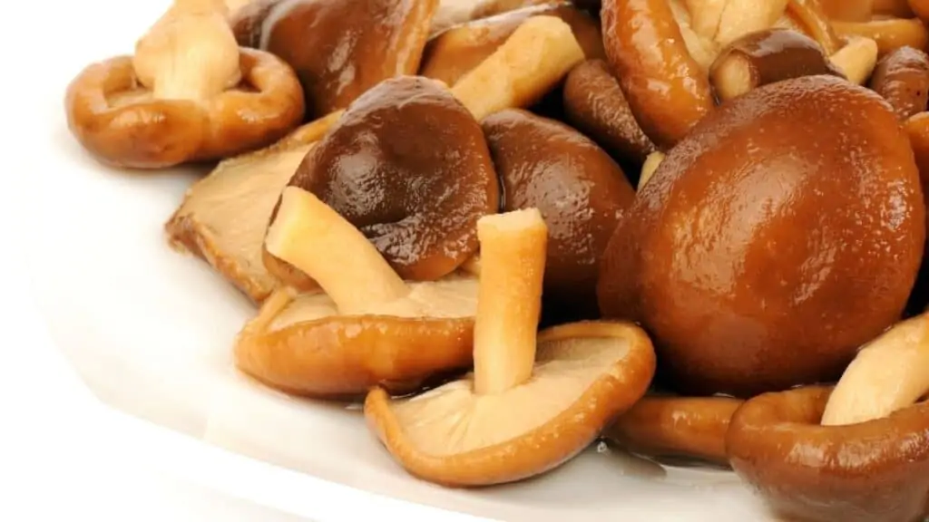 Shiitake mushroom stomach ache