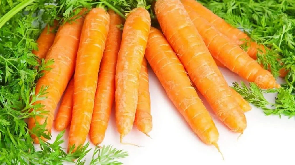 The glycemic load of carrots