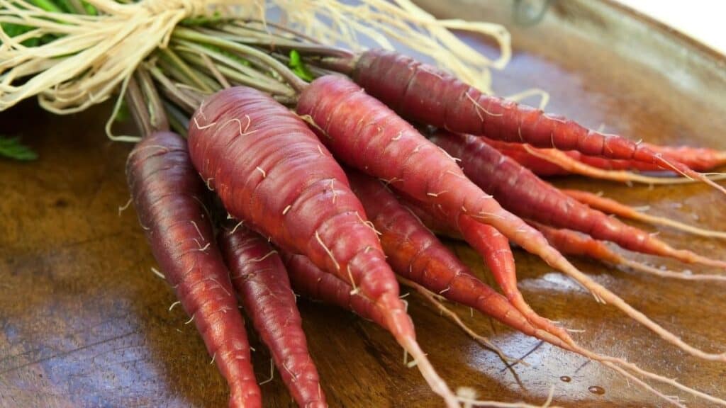 What Color Are Good Quality Carrots
