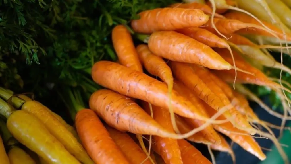 What Color Carrot Is the Healthiest