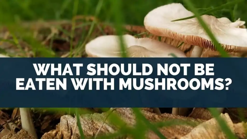 What Should Not Be Eaten With Mushrooms