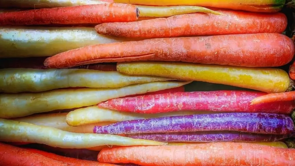 Why do carrots go slimy in the fridge