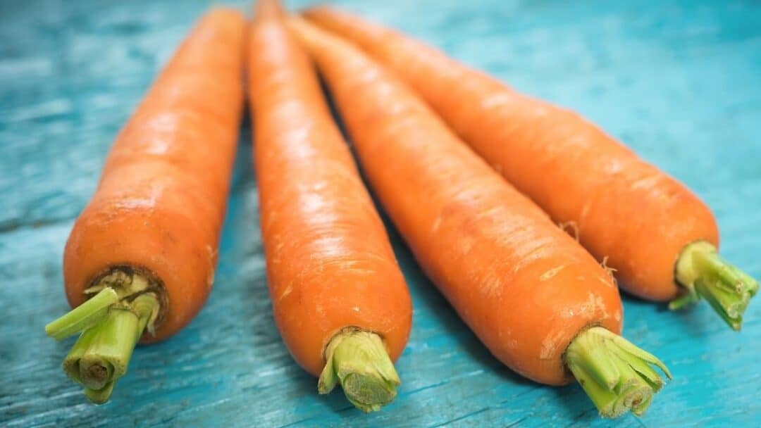 Why Do Carrots Turn Rubbery?