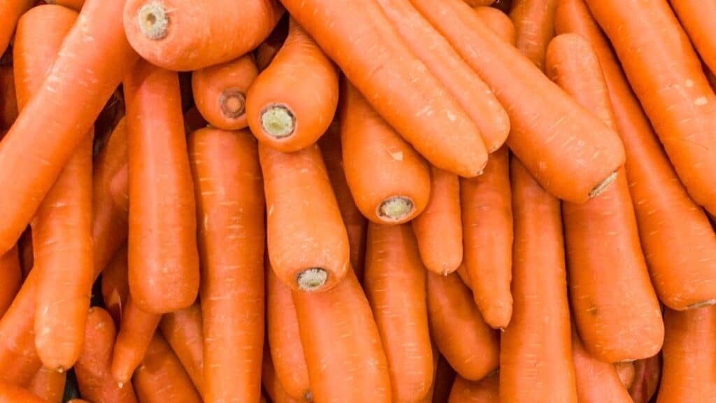 Can Carrots Cause Digestive Problems