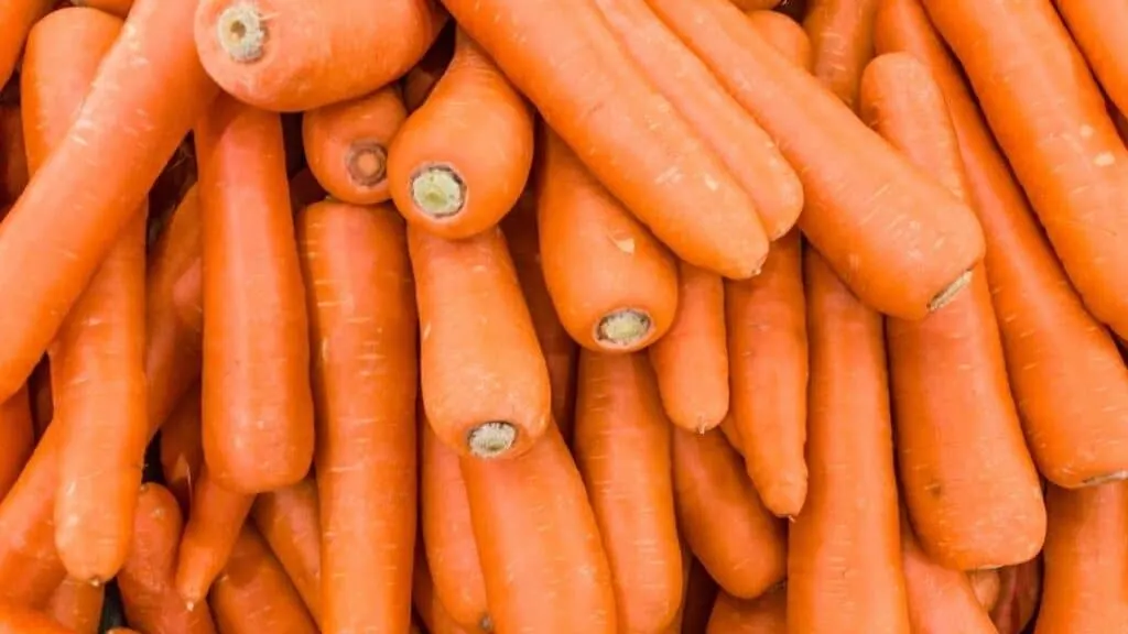 Can Carrots Cause Digestive Problems