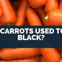 Did Carrots Used to Be Black
