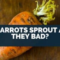 If Carrots Sprout Are They Bad