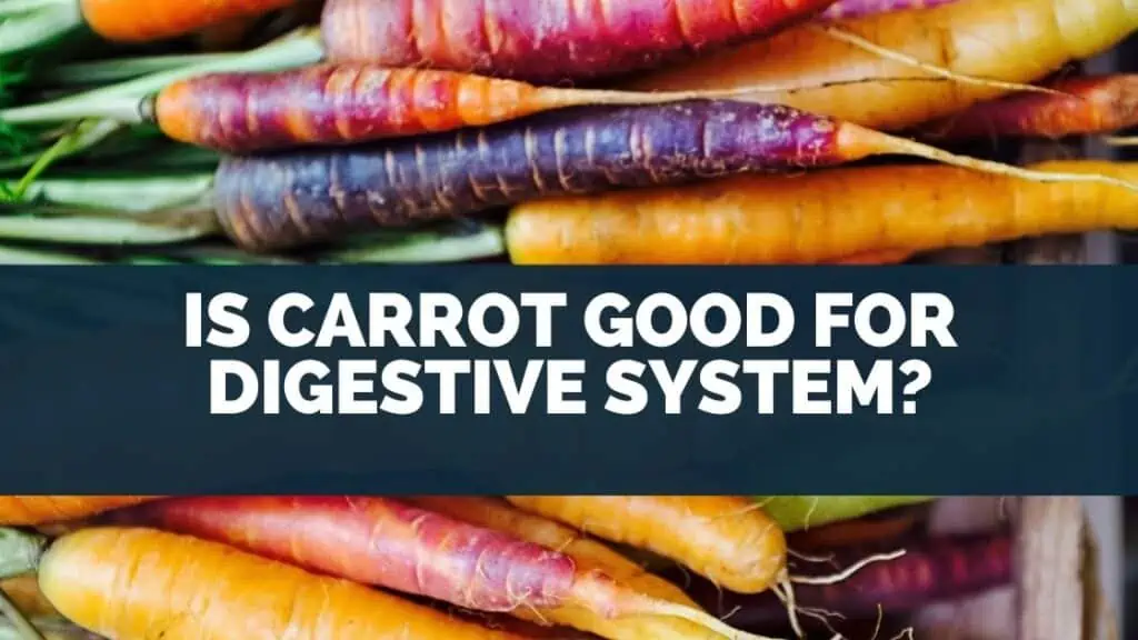 Is Carrot Good for Digestive System